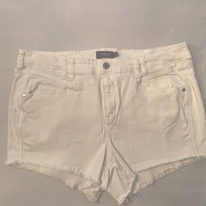 Torrid White Jean Shorts fringe size 16
